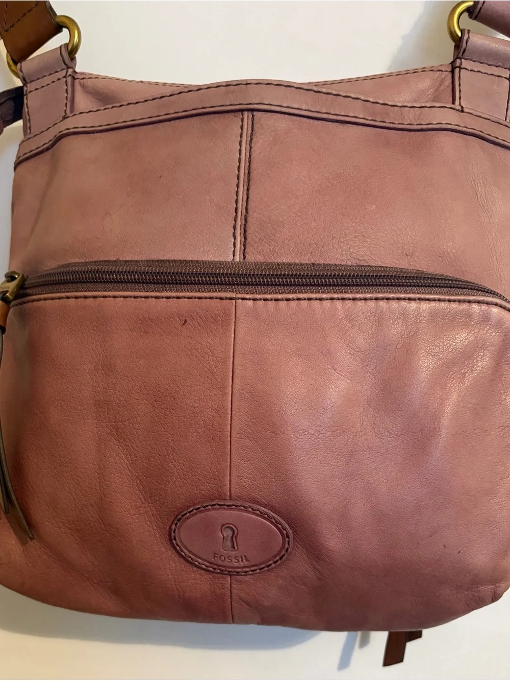 Fossil beautiful genuine